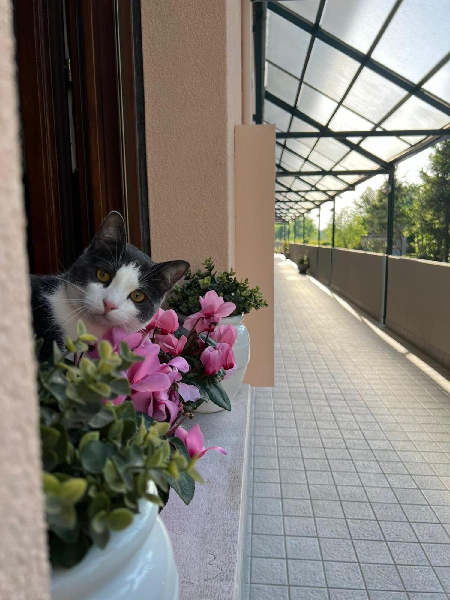 Appartamento Sangiuliano Местре Экстерьер фото